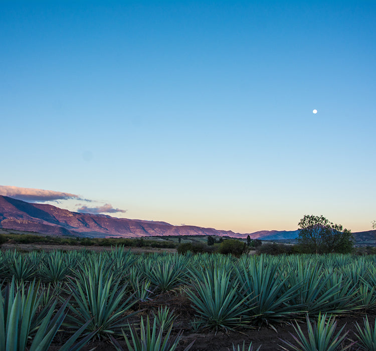 Región de México